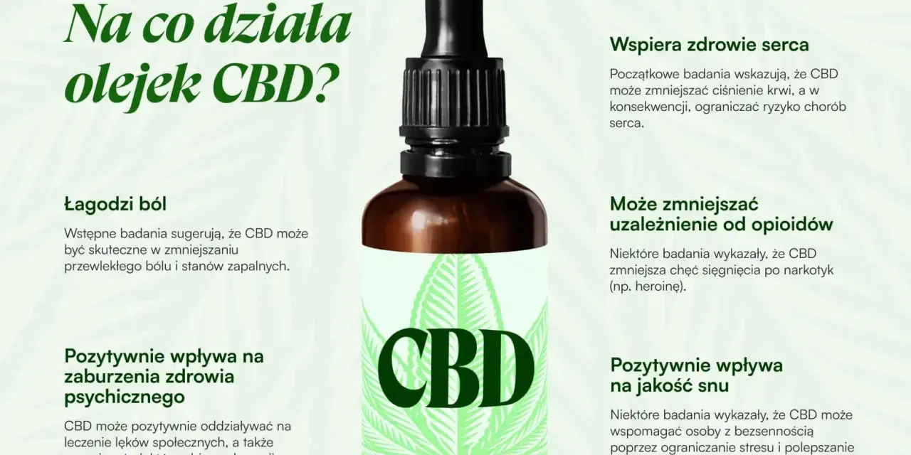 Olej CBD łagodzi ból, wspiera serce, poprawia sen i może zmniejszać uzależnienia. Dowiedz się, na co działa olejek CBD.