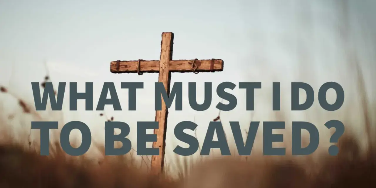 A wooden cross stands in a field of dry grass. Text reads: "WHAT MUST I DO TO BE SAVED?" This image explores the question of how to get to heaven.