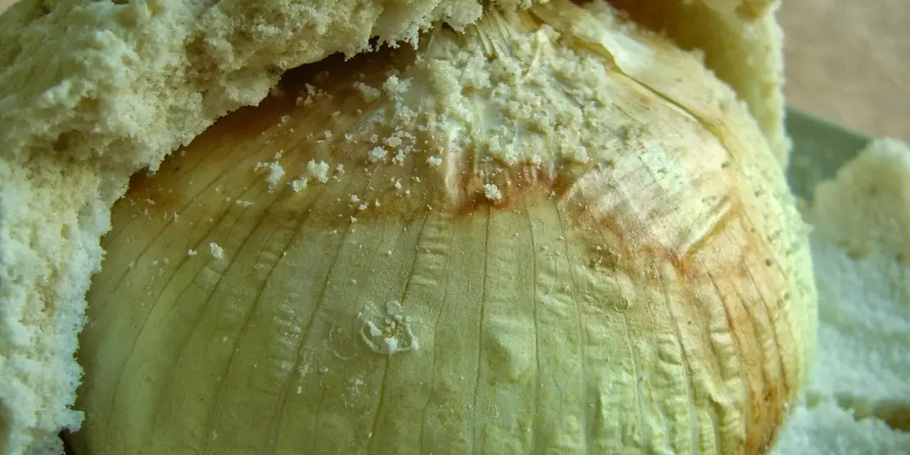 Una cipolla Giarratana intera, cotta in padella, avvolta in pane soffice.