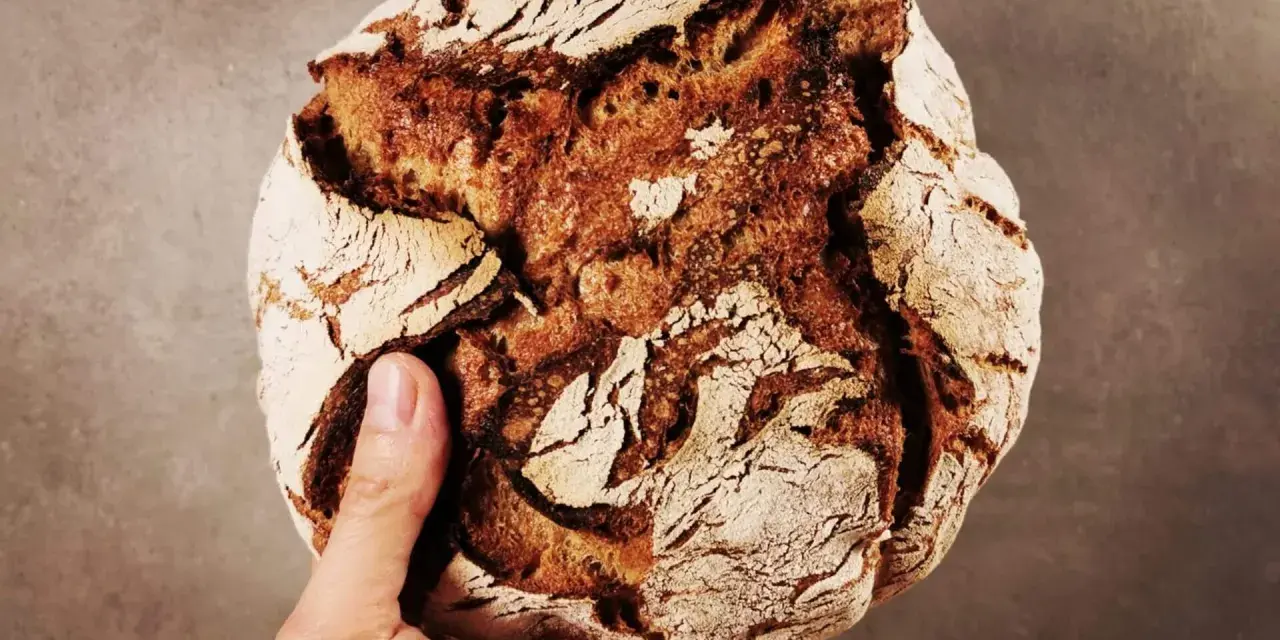 Hand hält ein rustikales Brot aus Emmer Urkorn mit knuspriger Kruste und dunkler Krume.