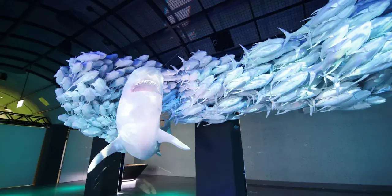 Rekin wśród ławicy ryb, instalacja w Muzeum Wody Wrocław.