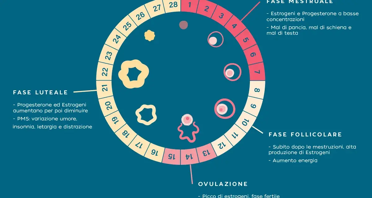 Schema del ciclo mestruale, con le fasi (mestruale, follicolare, ovulazione, luteale) e i relativi sintomi, utile per il cycle syncing.