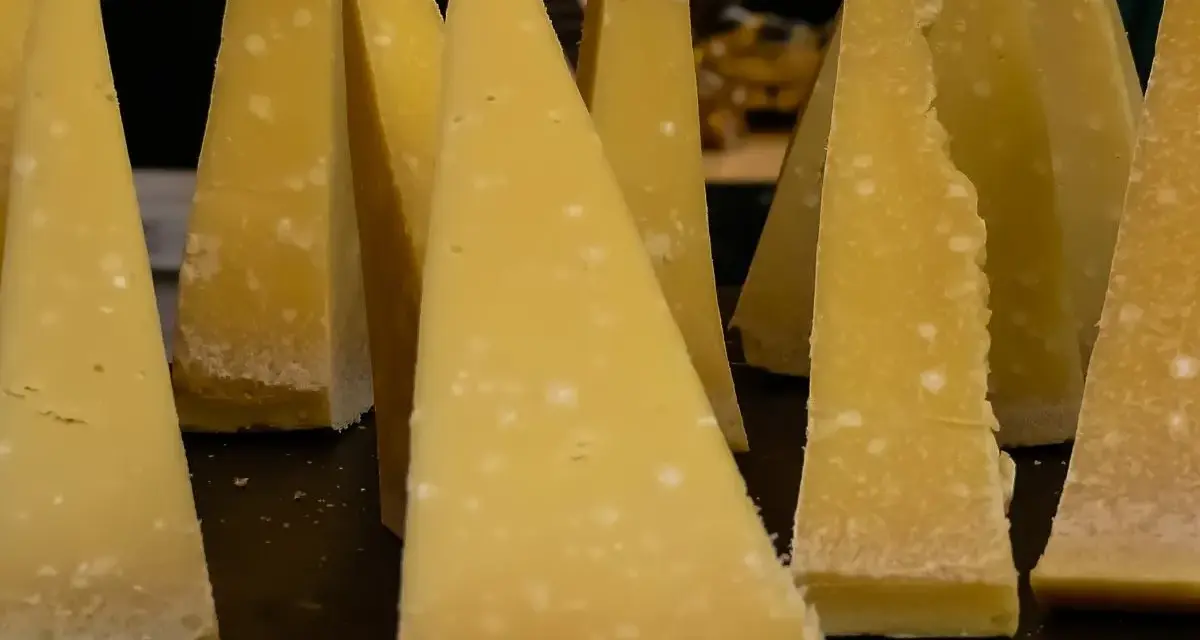 Kawałki parmezanu z widoczną pleśnią na powierzchni.