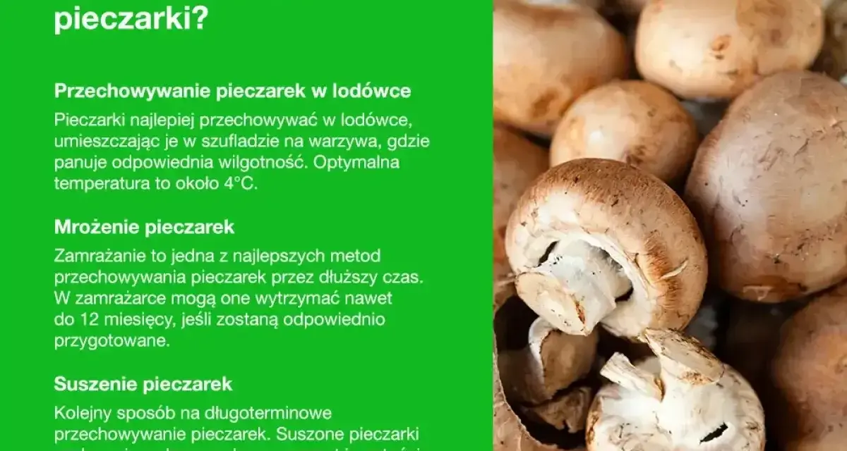 Jak przechowywać pieczarki: w lodówce, mrożone lub suszone. Porady dotyczące długoterminowego przechowywania pieczarek.