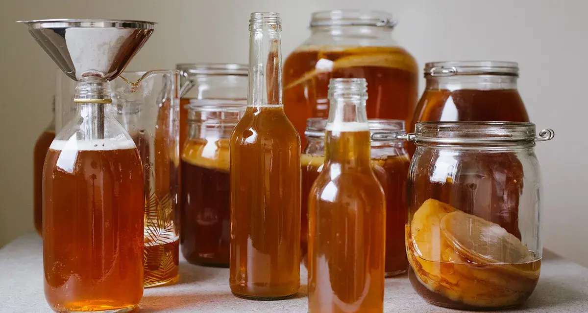 Flera flaskor och burkar med gyllene kombucha, redo för andra jäsningen. Ett perfekt kombucha recept för hemmabruk.