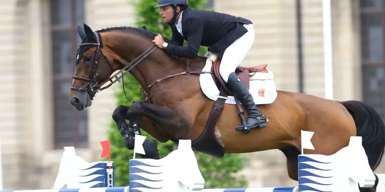 Un cavalier et son étalon bondissent par-dessus un obstacle. L'étalon, fier et puissant, montre sa forme athlétique.