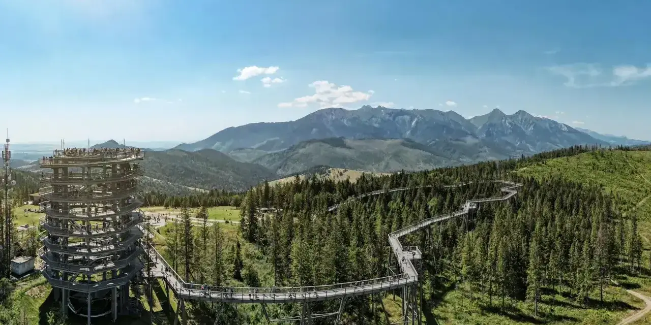 Spacer w koronach drzew Zakopane cennik: drewniana wieża widokowa i ścieżka wśród drzew z panoramą Tatr.