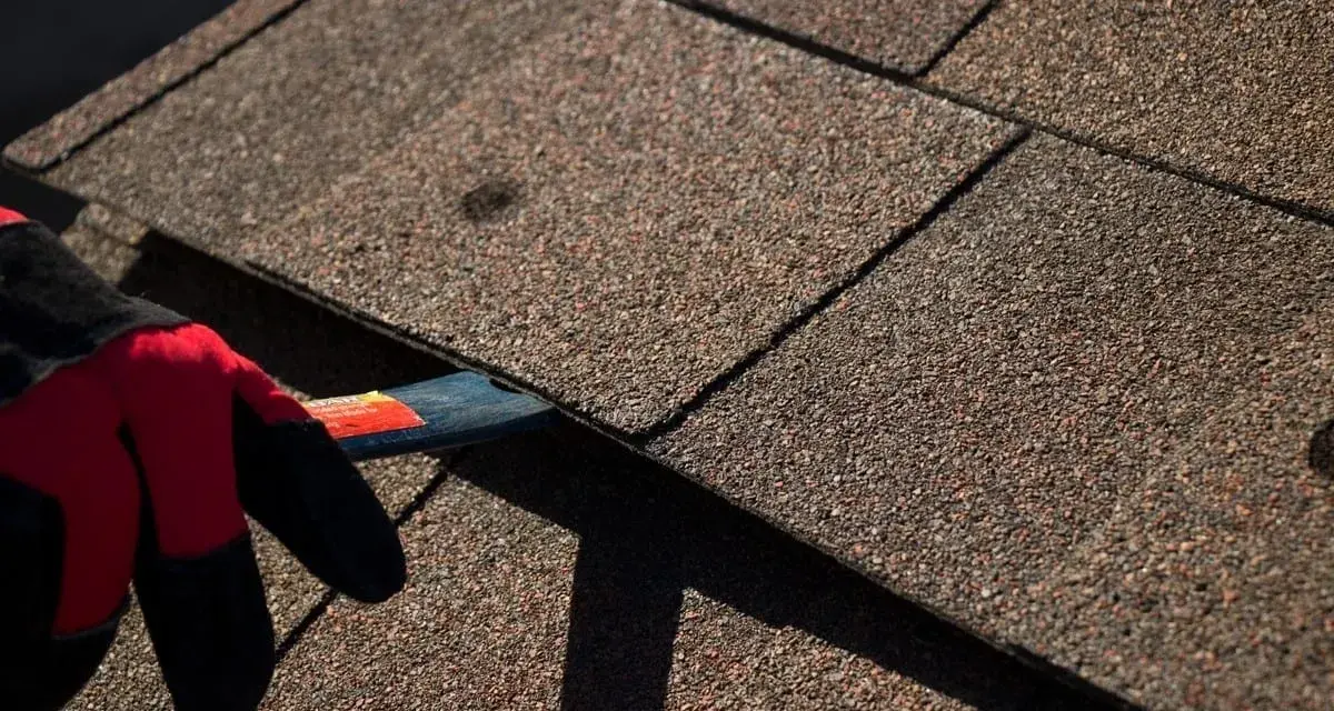 A gloved hand uses a tool to lift an asphalt shingle, indicating asphalt shingle roof repair is underway.