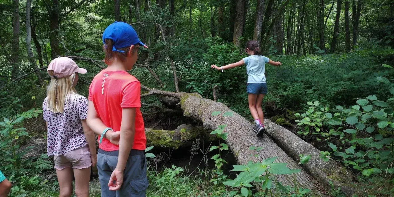 Une joyeuse randonnée avec enfants dans une forêt luxuriante. Une jeune fille traverse un tronc d'arbre tombé, tandis que deux autres enfants l'observent.