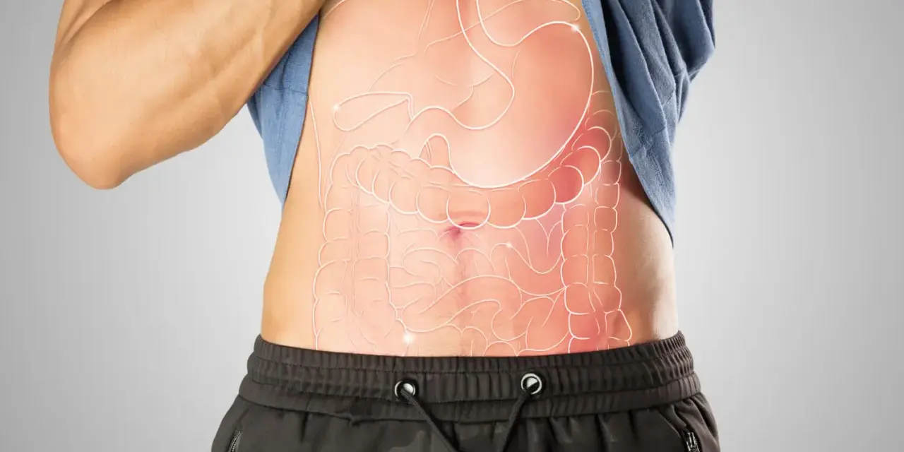 Anatomia brzucha z widocznym żołądkiem i jelitami. Gdzie jest woreczek żółciowy?