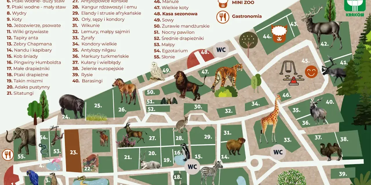 Kraków z dziećmi: Atrakcje na każdą pogodę i kieszeń!
