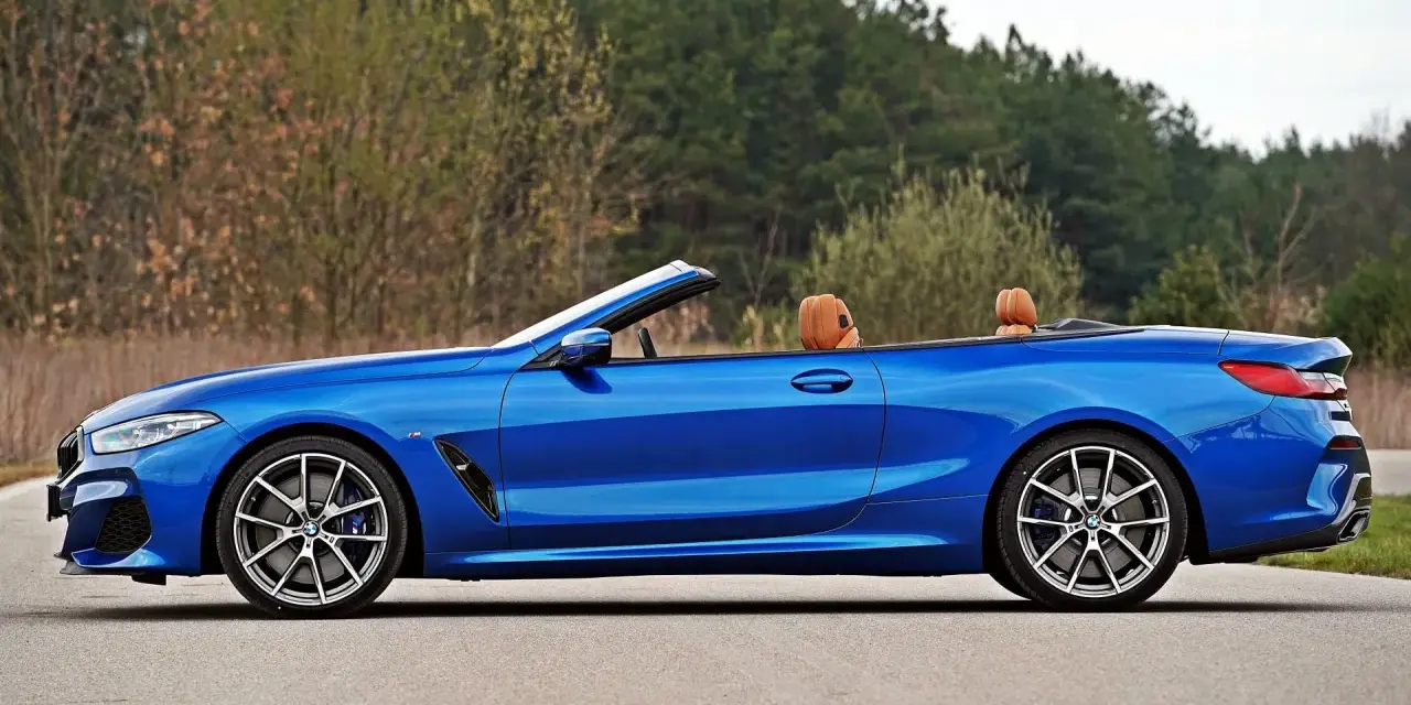 Niebieski roadster z brązową skórzaną tapicerką, zaparkowany na drodze z widokiem na las.