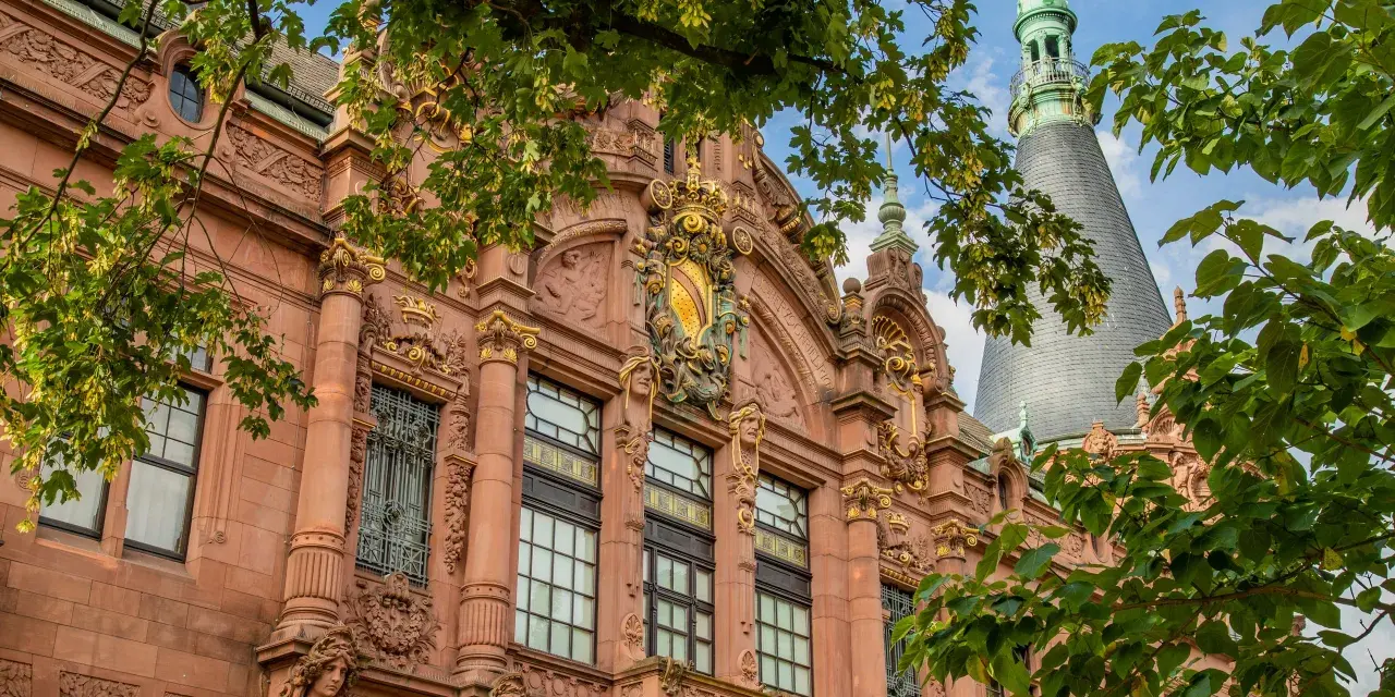 Heidelberg uniwersytet: Historia, programy i życie studenckie