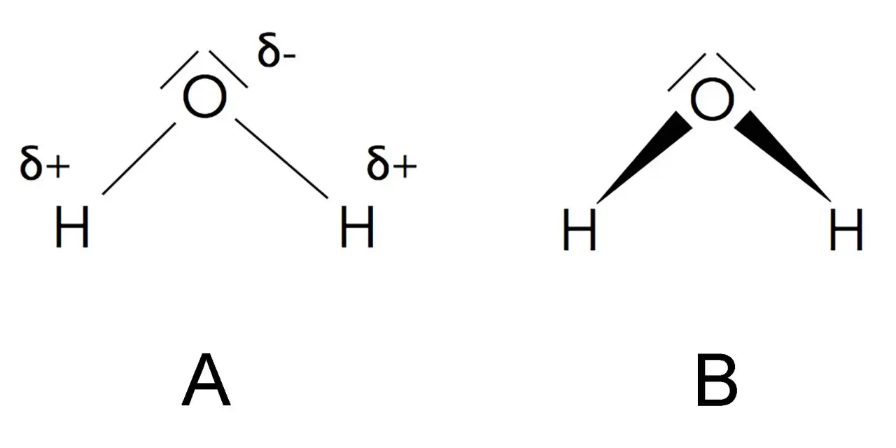 Zwei Wasser-Strukturformeln. A zeigt die polaren Bindungen mit partiellen Ladungen (δ+, δ-). B zeigt die V-förmige Struktur.