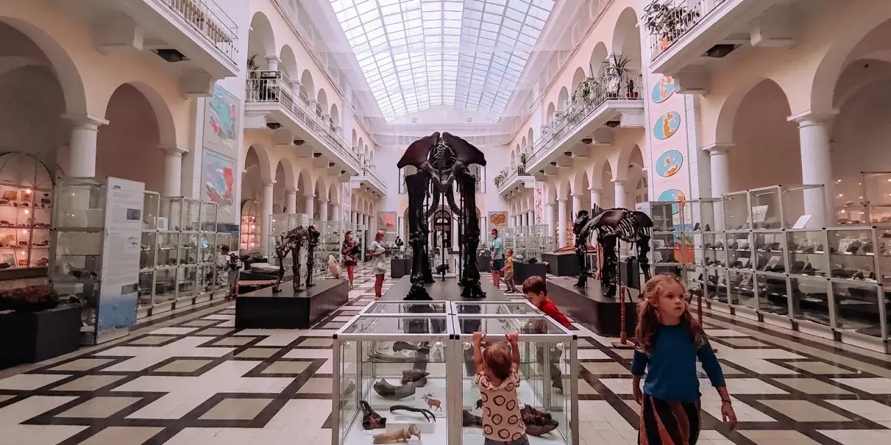 Dzieci zwiedzają muzeum dla dzieci, podziwiając szkielety prehistorycznych zwierząt i wystawy w gablotach.