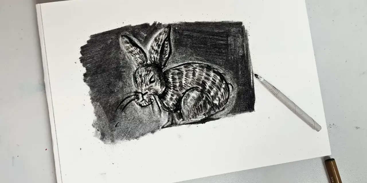 Un detallado dibujo carboncillo de un conejo con rayas, con un lápiz de carboncillo apoyado sobre el papel.