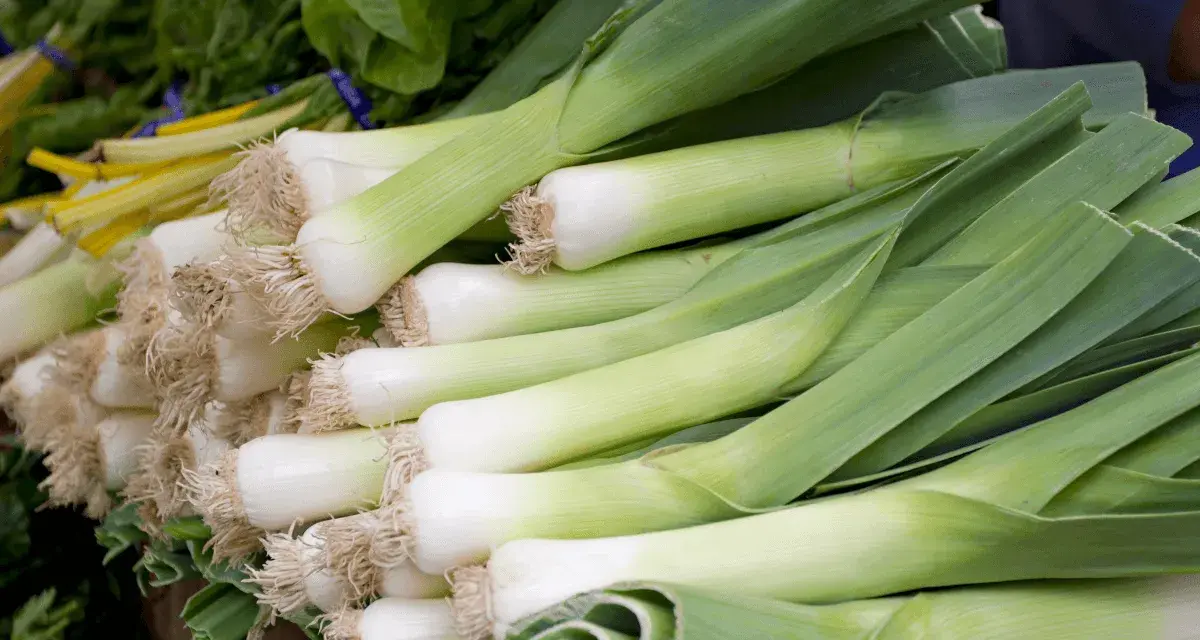 Porri freschi, pronti per essere cucinati. La loro stagione è perfetta per zuppe e minestre.