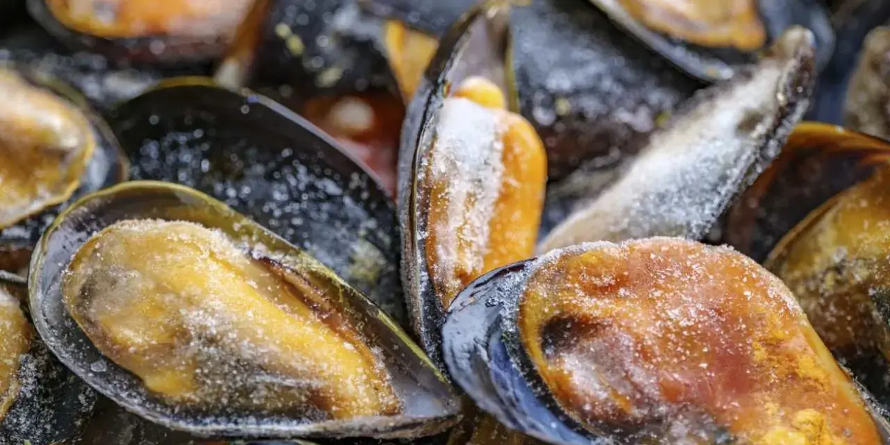 Primer plano de mejillones congelados cubiertos de escarcha. Se pueden congelar los mejillones para conservarlos frescos.