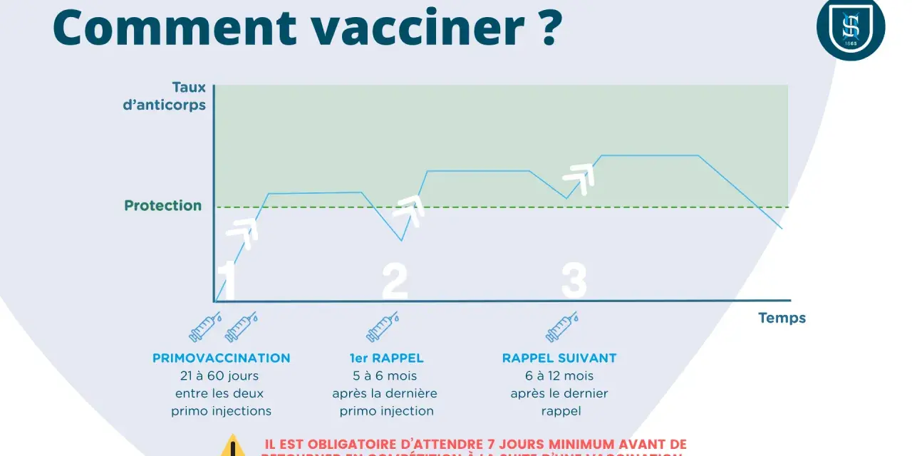 Graphique illustrant le protocole vaccination cheval FFE : taux d'anticorps et protection après primo-vaccination et rappels.