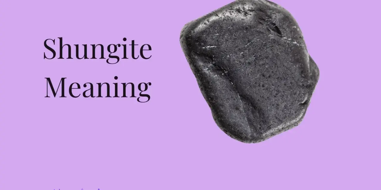 Pietra di shungite nera, nota per le sue proprietà protettive e purificanti.