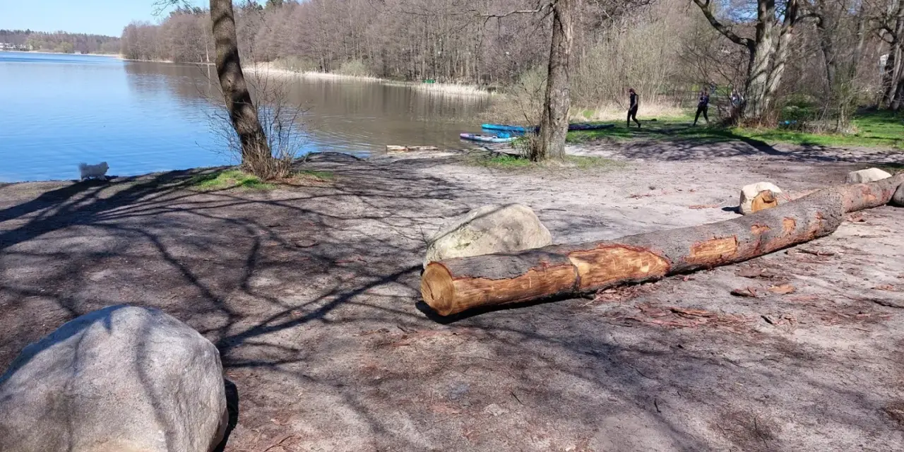 Spacer po brzegu jeziora Warzenko. Biały piesek bawi się przy wodzie, a w oddali widać dwie osoby i deski SUP.