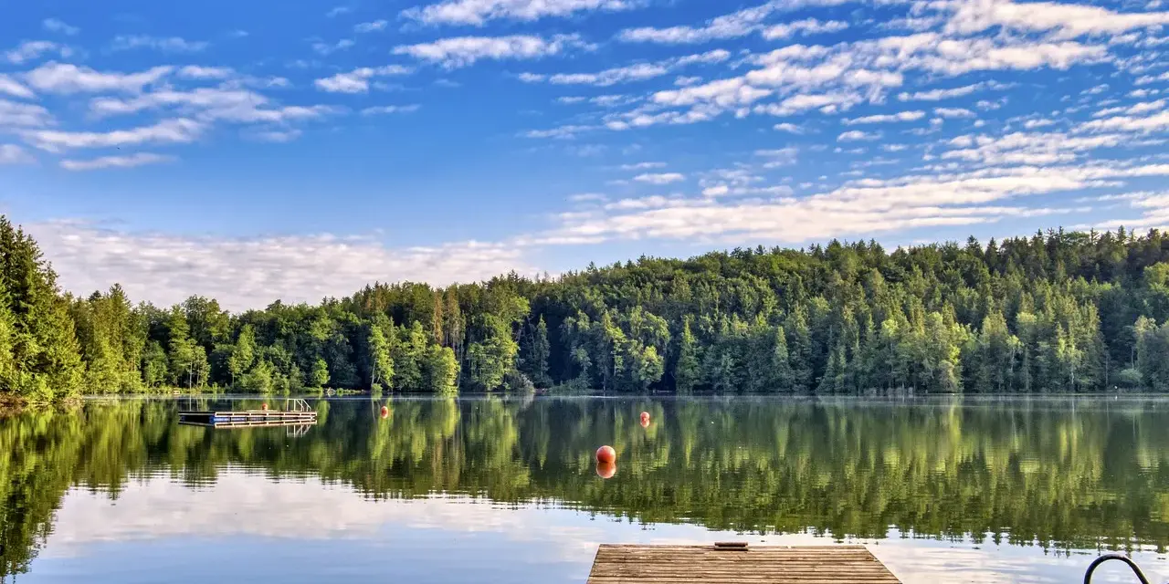 Holzsteg am ruhigen Badesee Dresden, umgeben von üppigem Grün und blauem Himmel mit Wolken.