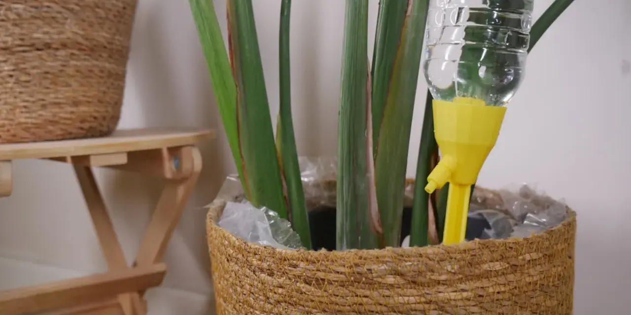 Dispositivo amarillo para regar plantas en vacaciones. Una botella de agua se inserta en la tierra para mantenerla hidratada.