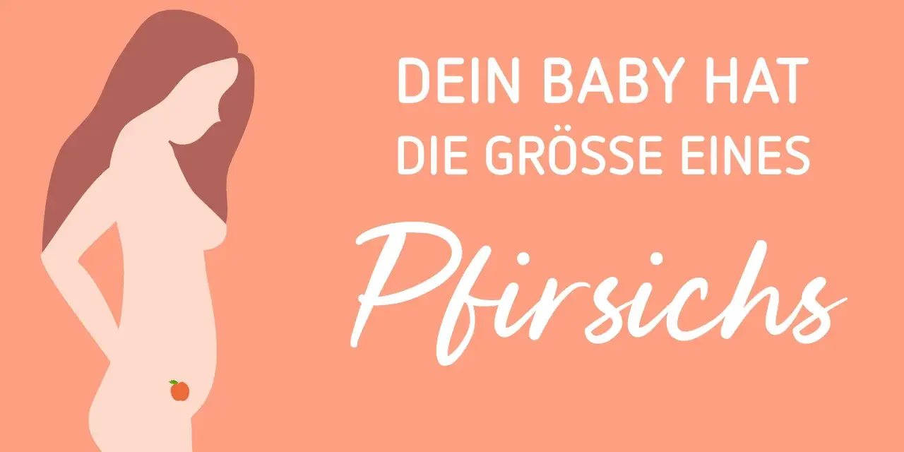 ssw 17: Dein Baby hat die Grösse eines Pfirsichs. Eine schwangere Frau mit einem kleinen Pfirsich auf dem Bauch.