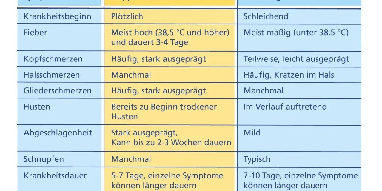 Grippaler Infekt: Symptome erkennen & von Grippe unterscheiden