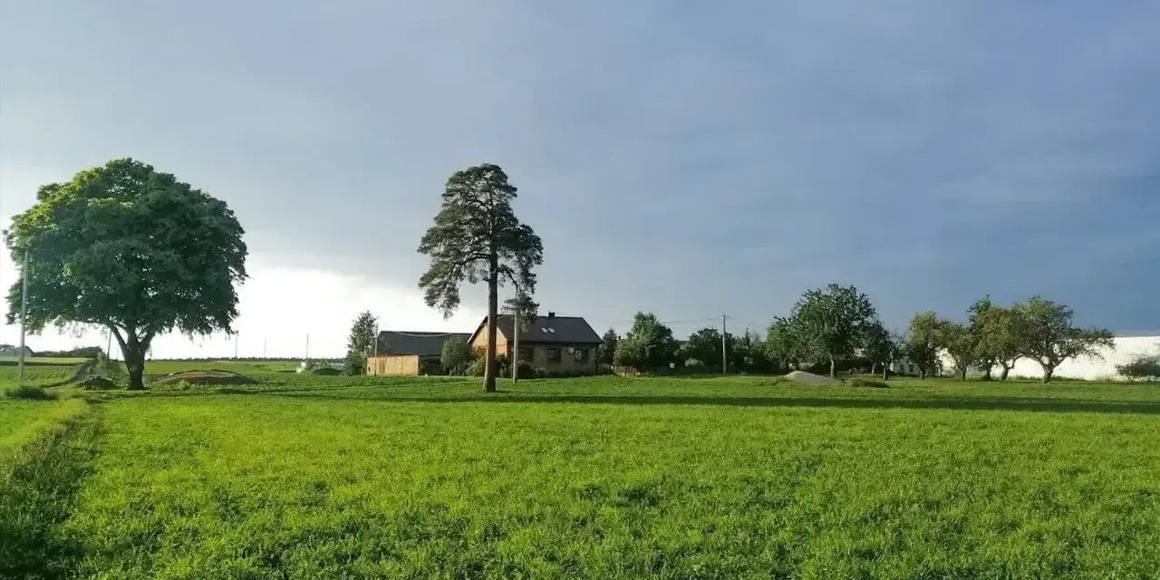 Zielona łąka, dom i drzewa. Zastanawiasz się, ile kosztuje przekształcenie działki rolnej na budowlaną 10 arów?