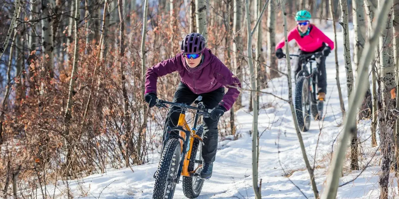 Two people enjoy a winter mtb ride on a snowy trail through a birch forest.