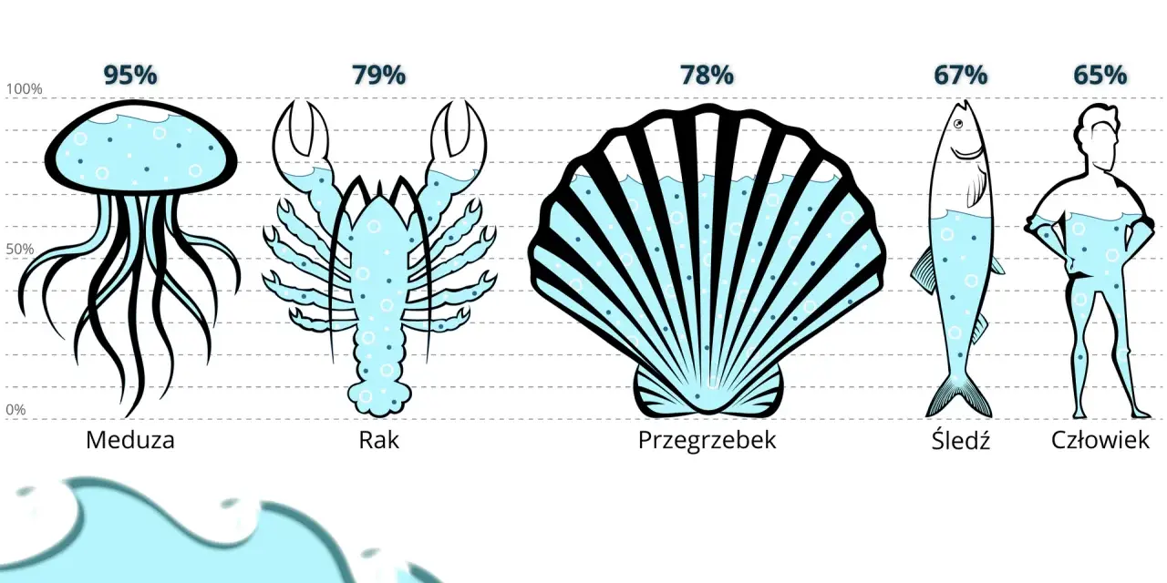 Znaczenie wody dla organizmów żywych w biologii: kluczowe procesy i adaptacje