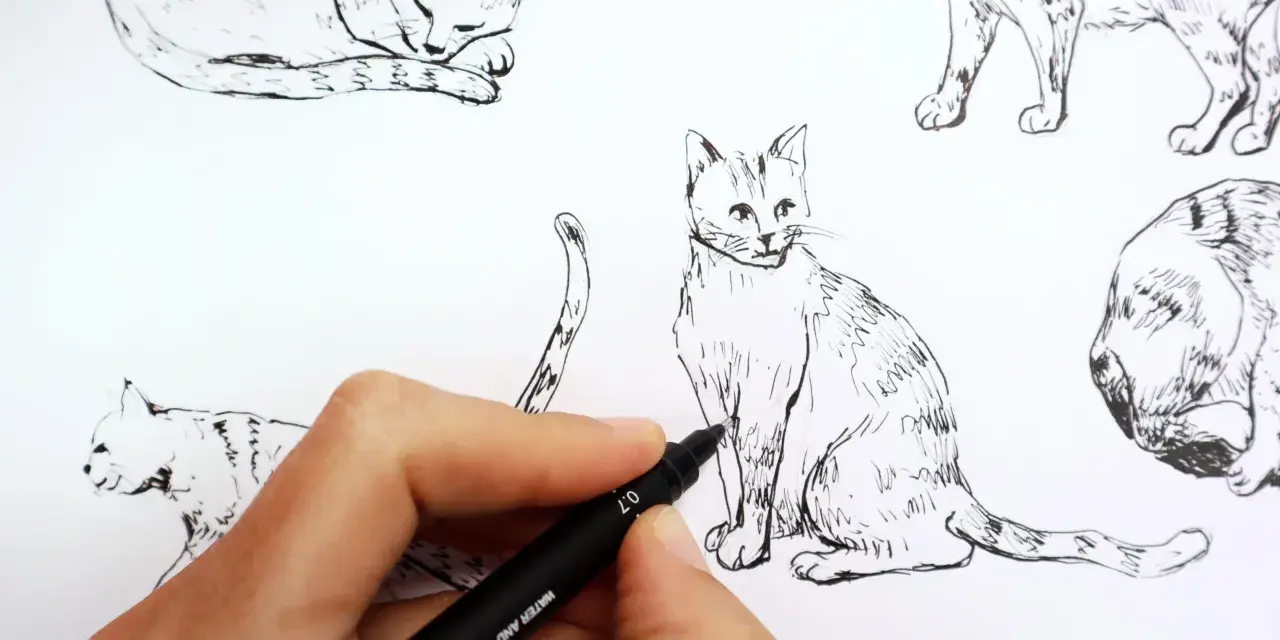 Main d'artiste en train de dessiner un chat réaliste au feutre noir. Plusieurs croquis de chats sont visibles.