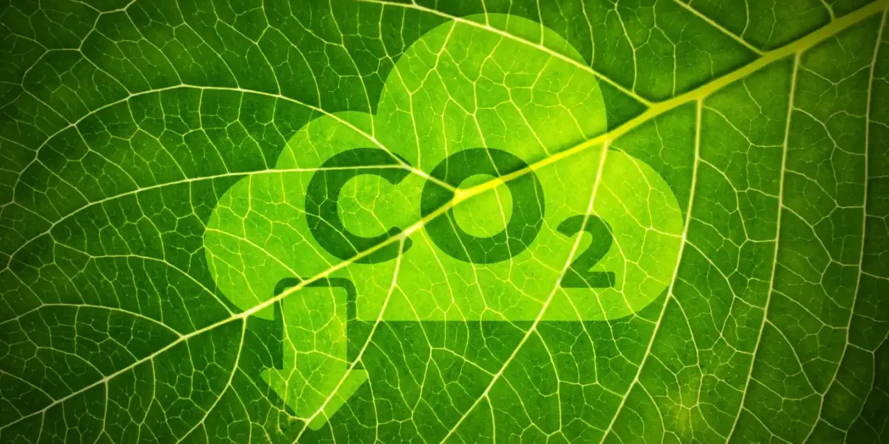 Redukcja emisji CO2: Co musisz wiedzieć o zielonej transformacji?