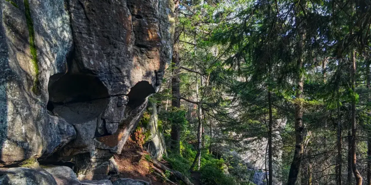 Skalna czaszka w lesie, z wyżłobionymi otworami przypominającymi oczy i usta, otoczona gęstą zielenią drzew.