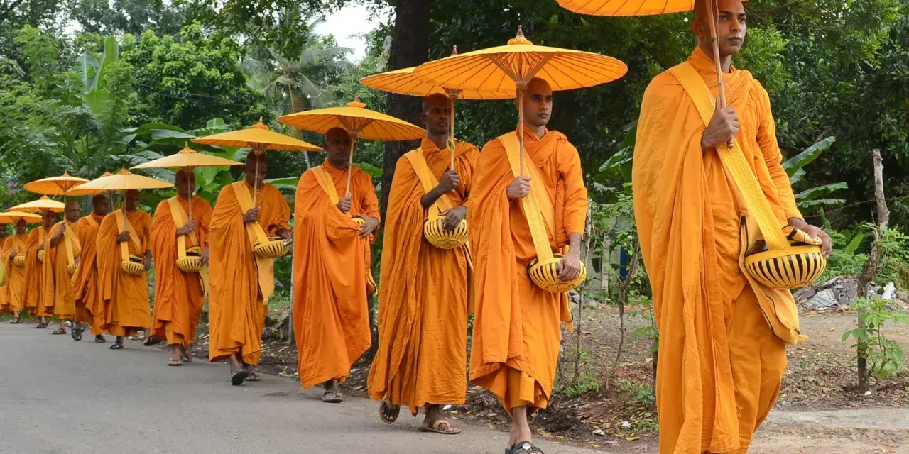 A procession of monks in saffron robes, carrying alms bowls and yellow umbrellas, walk down a road.