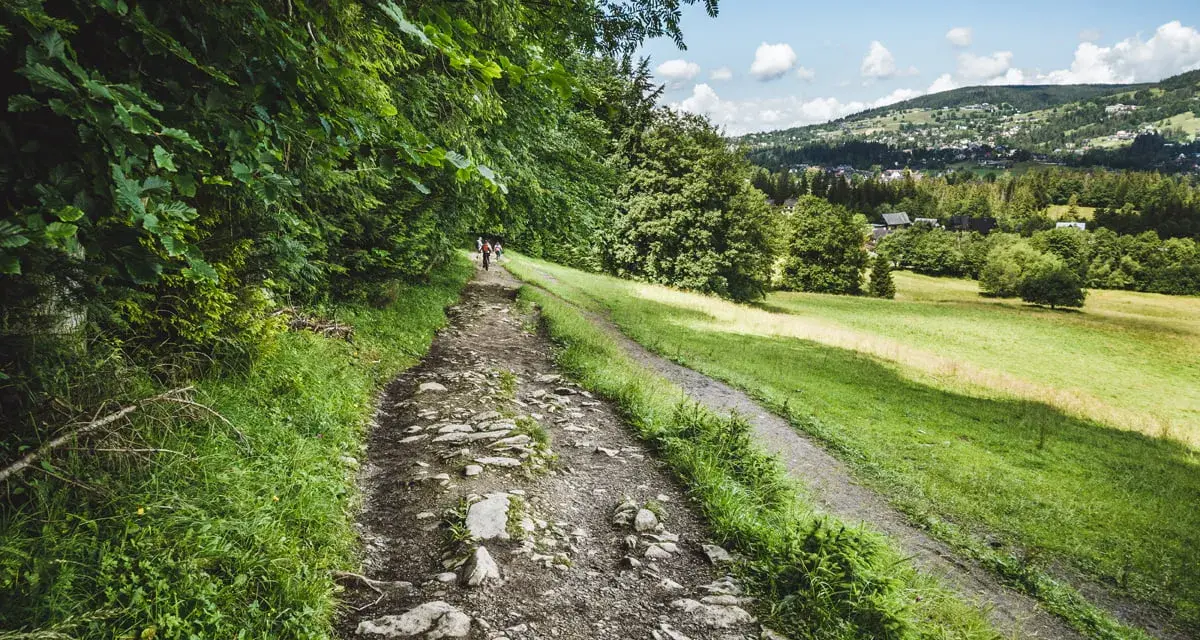 Kamienista ścieżka pod reglami, otoczona zielenią, prowadzi przez malowniczy krajobraz. W oddali widać góry i zabudowania.