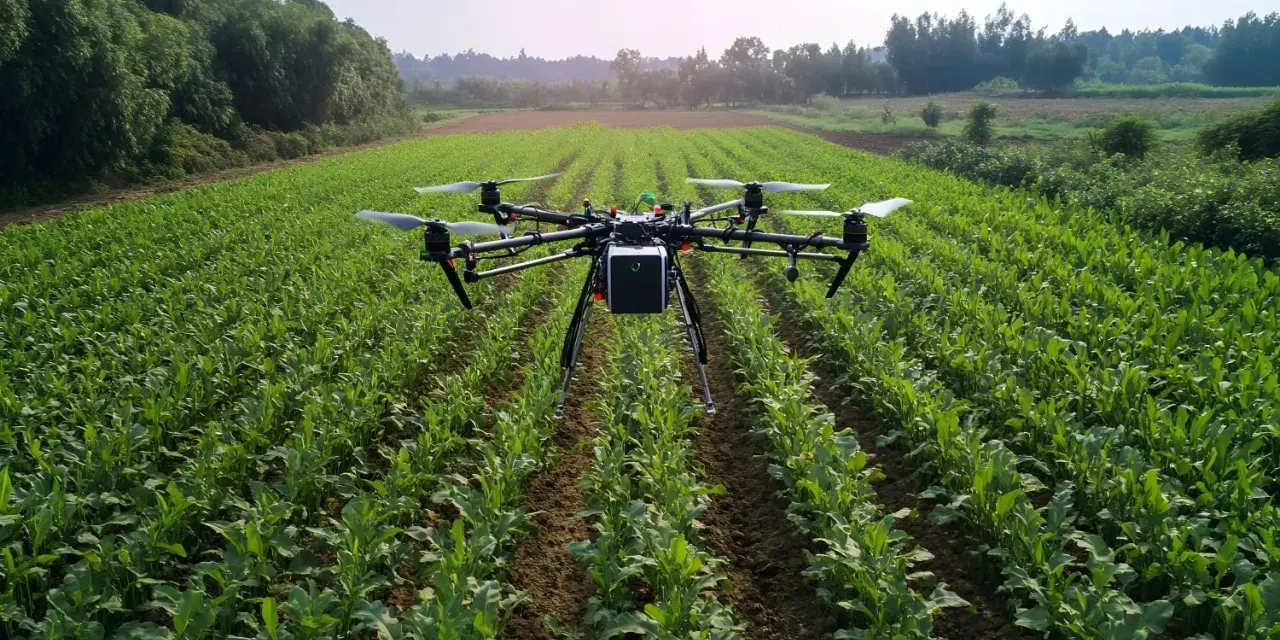 A drone hovers over a lush green field, a silent guardian agriculture, monitoring crops.