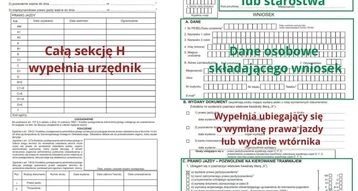 Wniosek o wydanie prawa jazdy, wypełnia urzędnik lub osoba składająca wniosek.