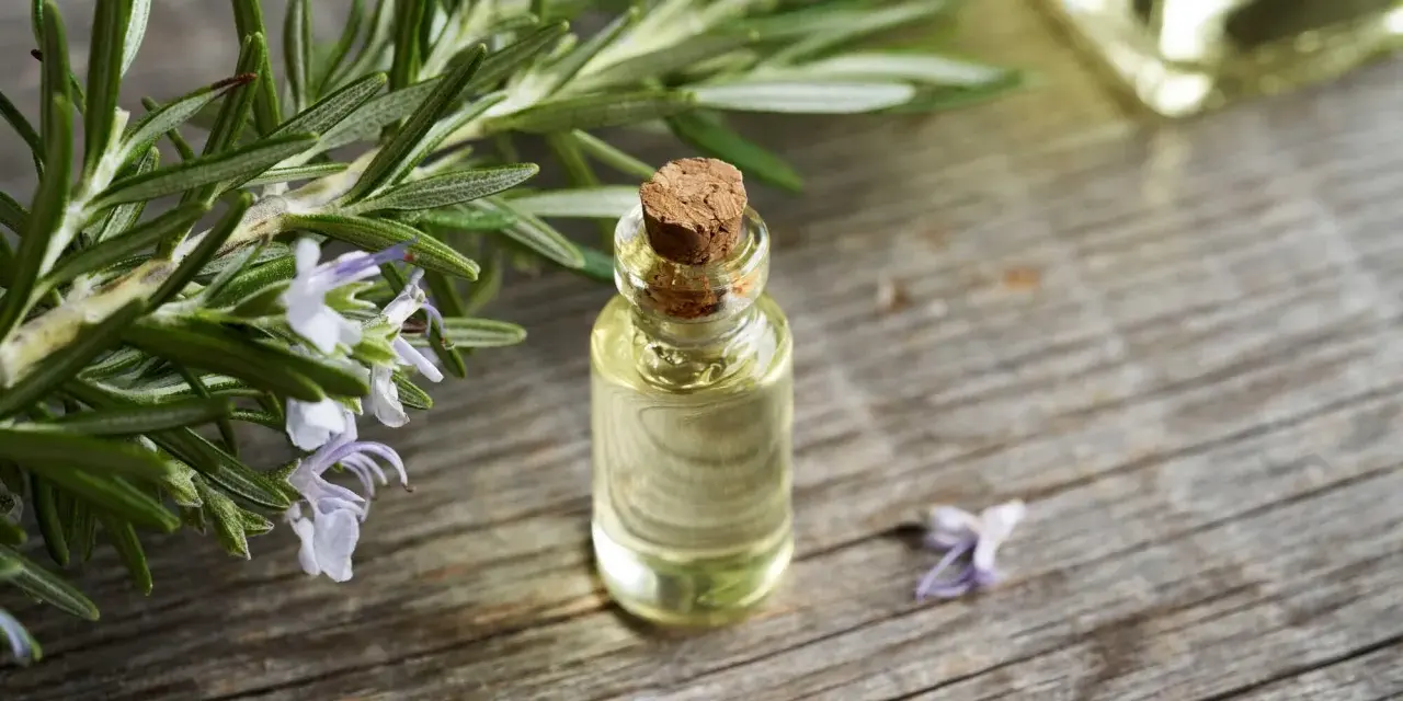 Frischer Rosmarin mit Blüten neben einer kleinen Glasflasche, die zeigt, wie man Rosmarinextrakt herstellen kann.