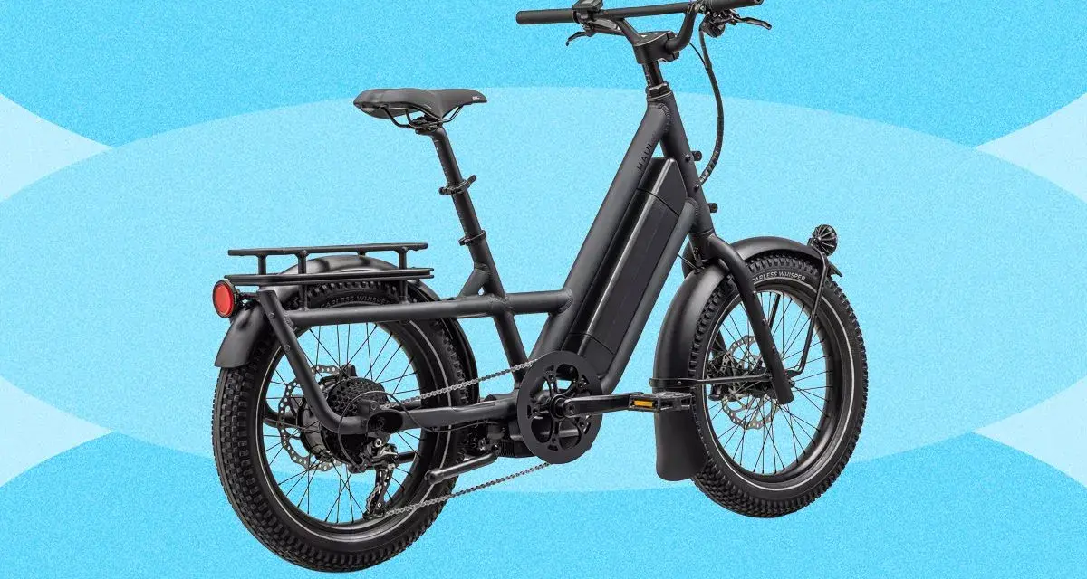 A black electric cargo bike with a long frame and rear rack, perfect for hauling groceries or kids.