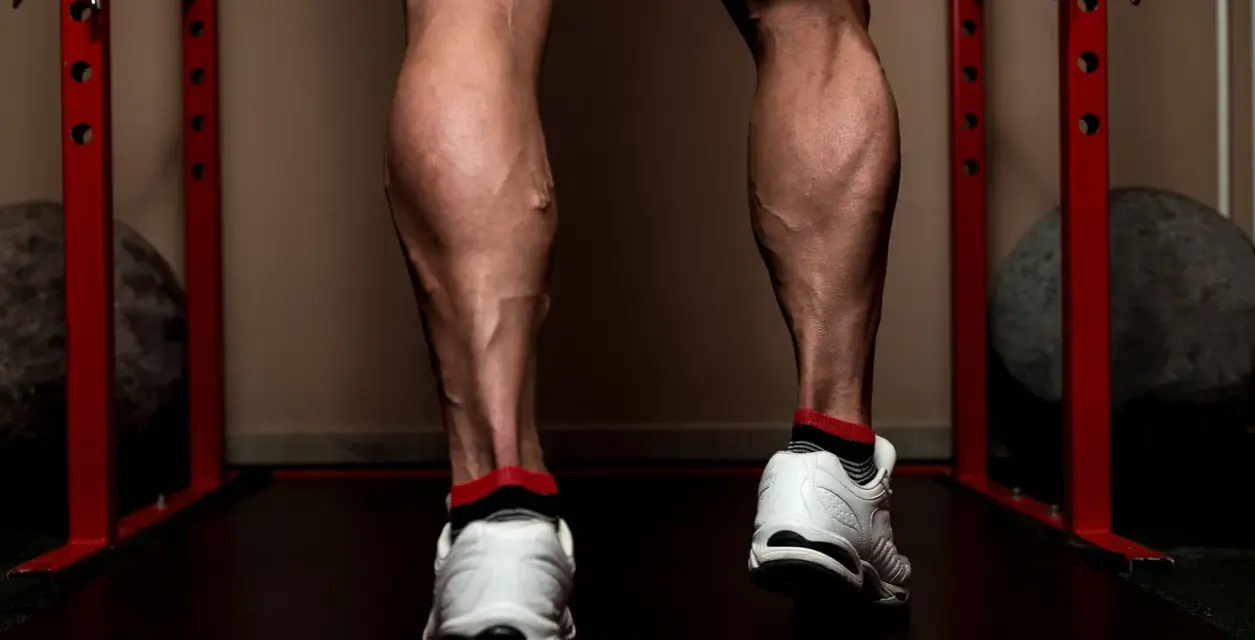 Jambes musclées, mollets sculptés par l'entraînement. Des veines saillantes témoignent d'un travail acharné pour muscler le mollet.