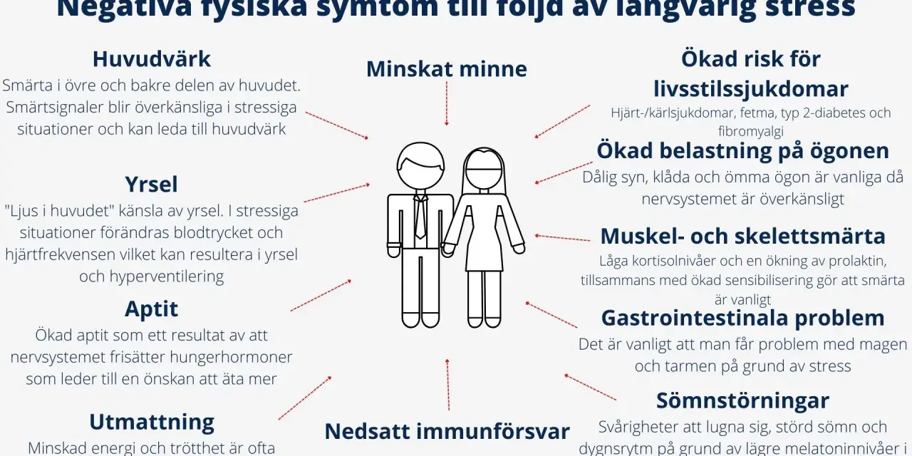 Bilden visar hur långvarig stress kan leda till stressrelaterade sjukdomar som huvudvärk, yrsel, minnesproblem och sömnstörningar.