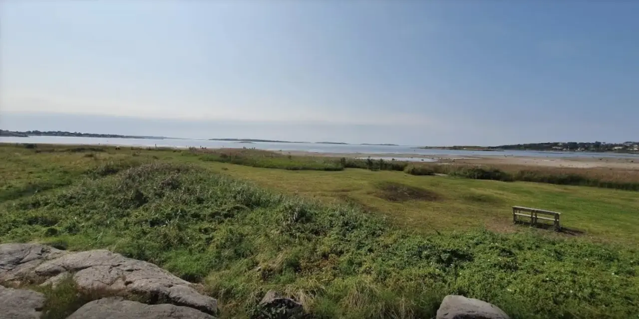 En bänk vid Rågelunds camping bjuder in till en stunds avkoppling med utsikt över vatten och grönska.