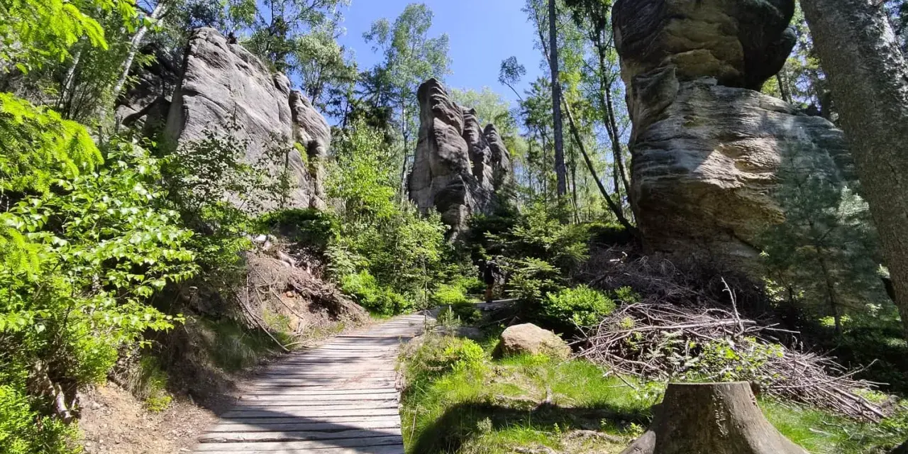 Drewniana ścieżka prowadzi przez skalne miasto w Górach Stołowych Czech. Majestatyczne formacje skalne otoczone zielenią.