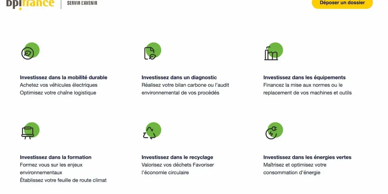BPI France propose un prêt vert pour financer la mobilité durable, les diagnostics environnementaux, les équipements, la formation, le recyclage et les énergies vertes.