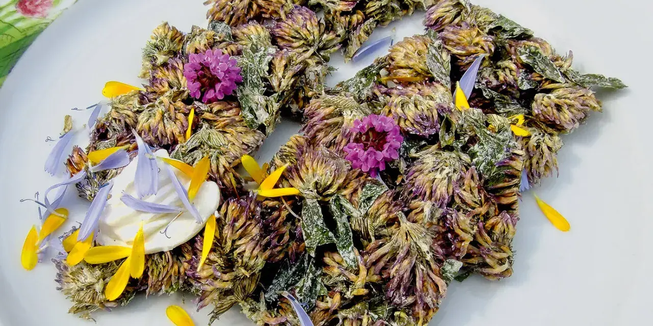 Get inspired for rotklee rezepte! Getrocknete Rotklee-Blüten und Blütenblätter auf einem Teller, garniert mit kleinen lila und gelben Blüten.
