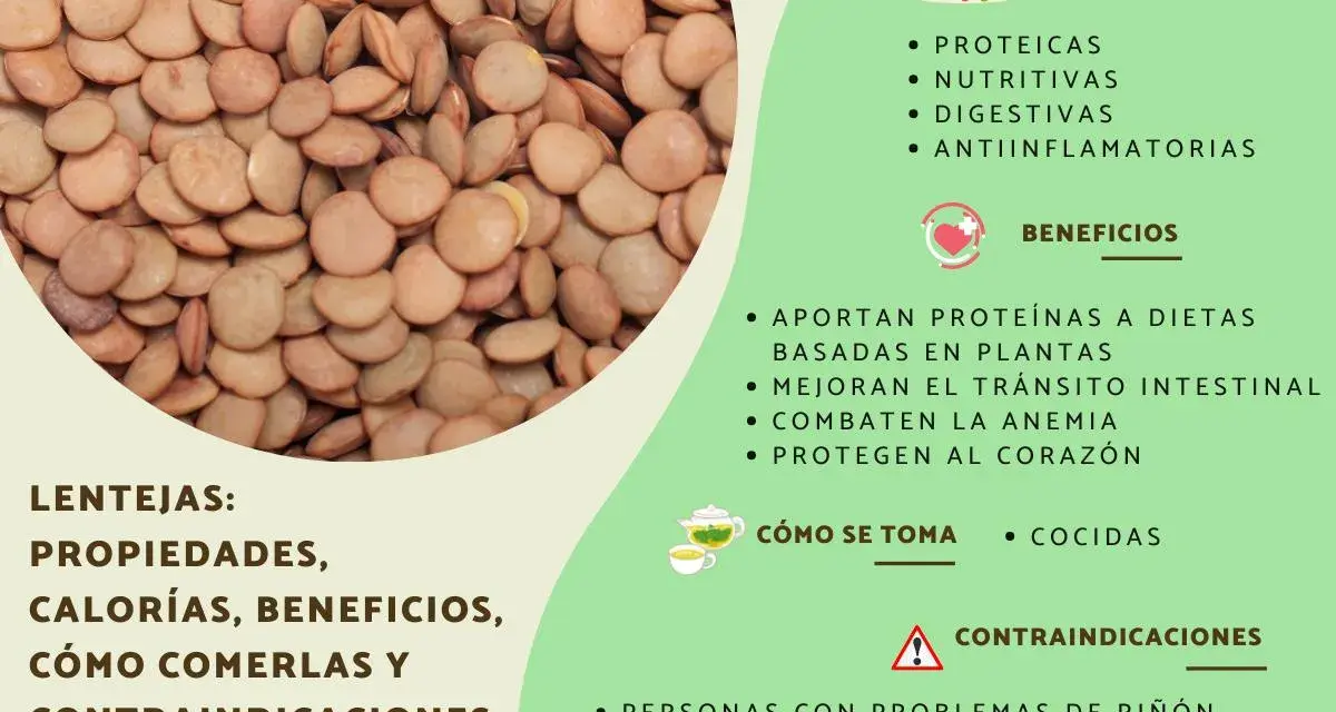 Primer plano de lentejas secas, con información sobre sus propiedades, beneficios y contraindicaciones. Aunque las lentejas engordan si se consumen en exceso, son nutritivas.