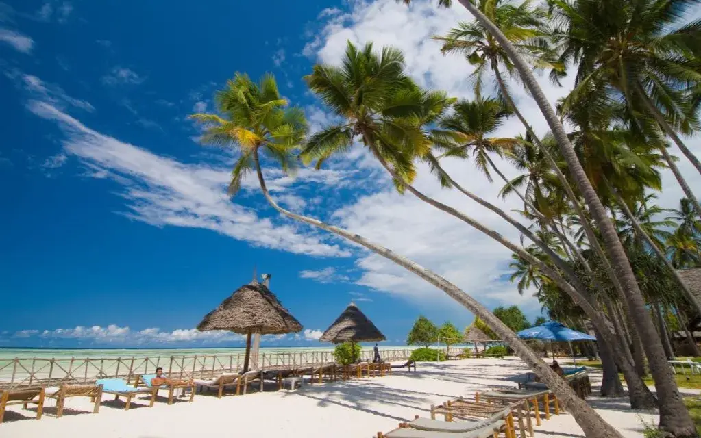Ile trwa lot z Poznania na Zanzibar? Zaskakujące czasy przesiadek