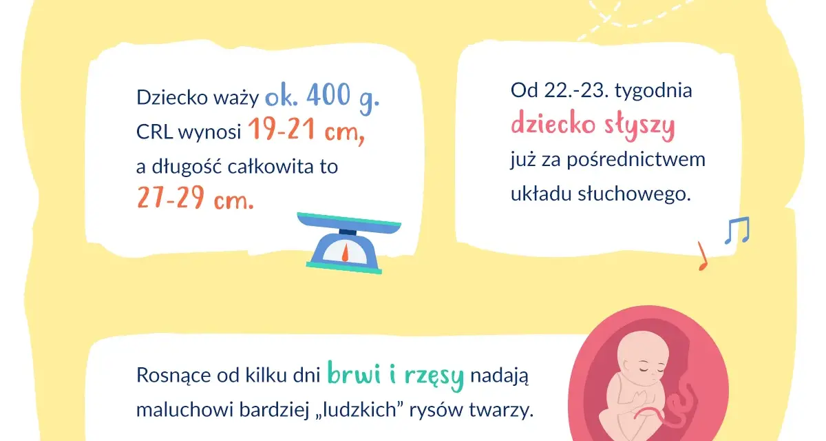 Ruchy dziecka w 22 tygodniu ciąży: jak często są normalne?